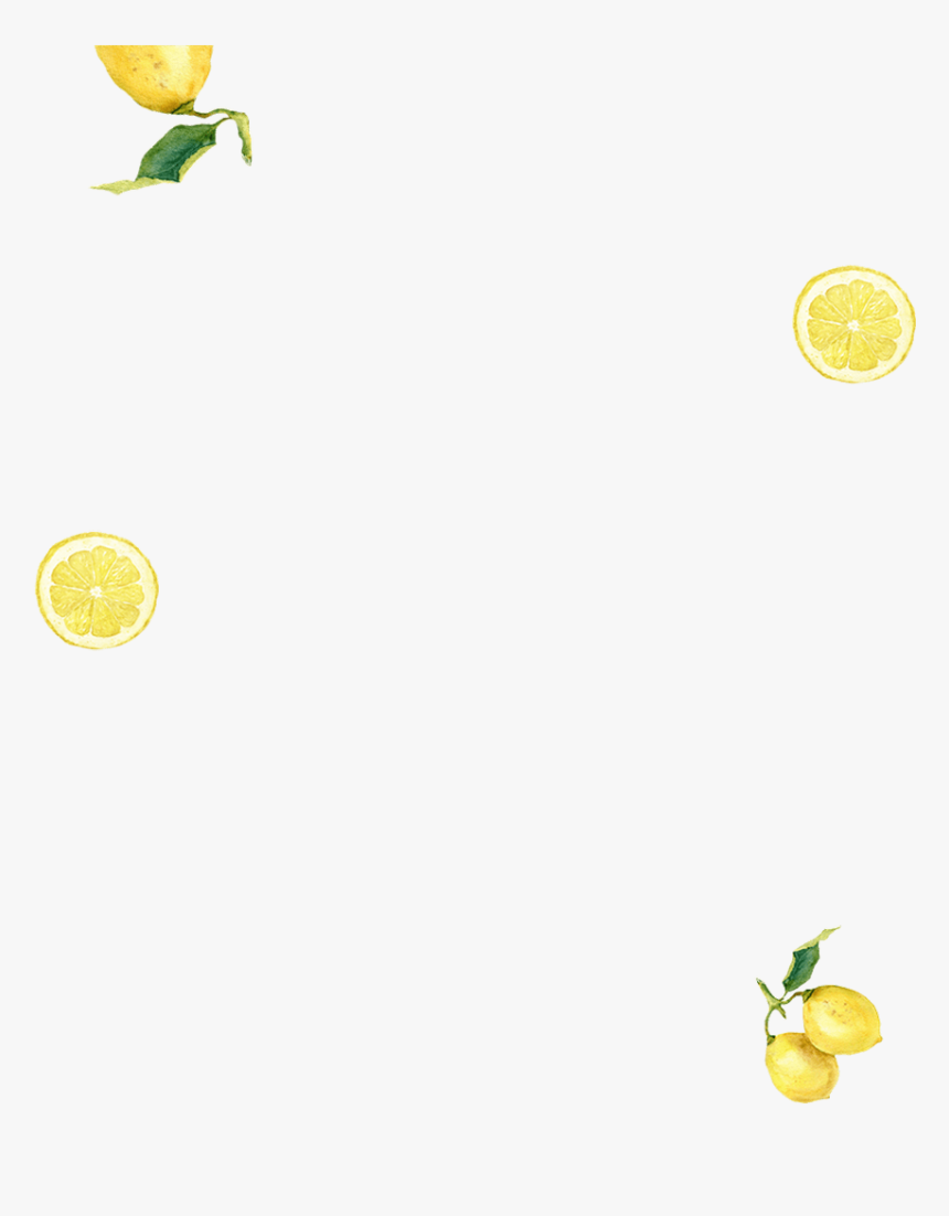 Circle, HD Png Download