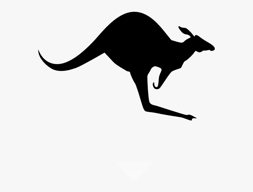 Outline Foil Designs Pinterest - Kangaroo Clipart Black, HD Png Download