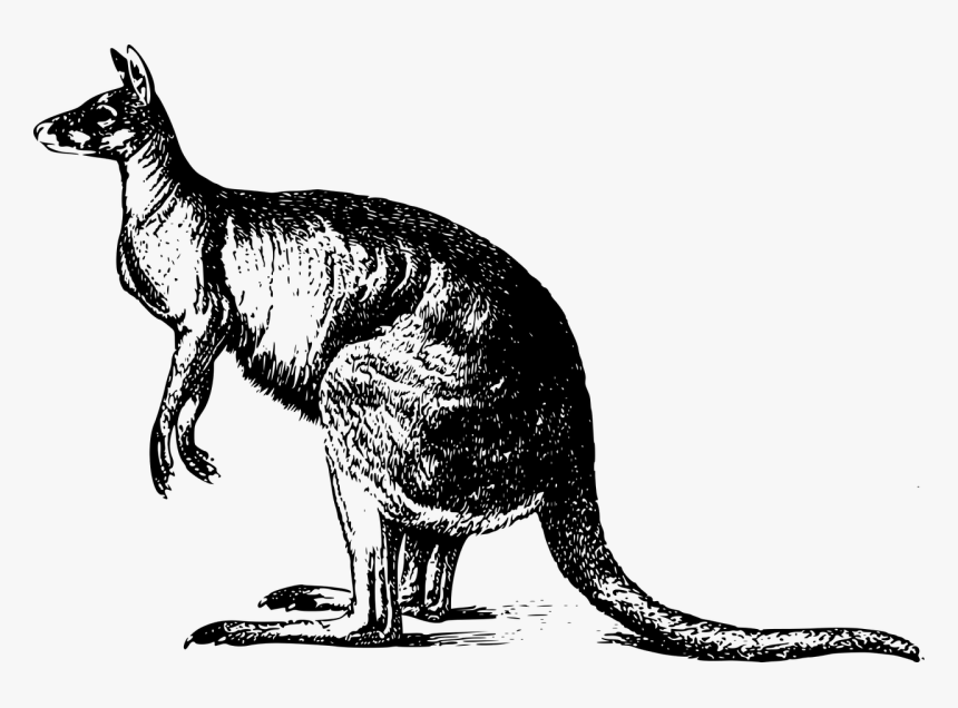 Fearsome Critters, HD Png Download