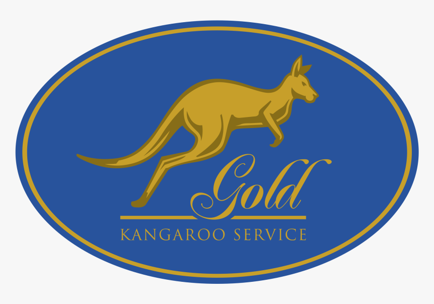 Kangaroo, HD Png Download