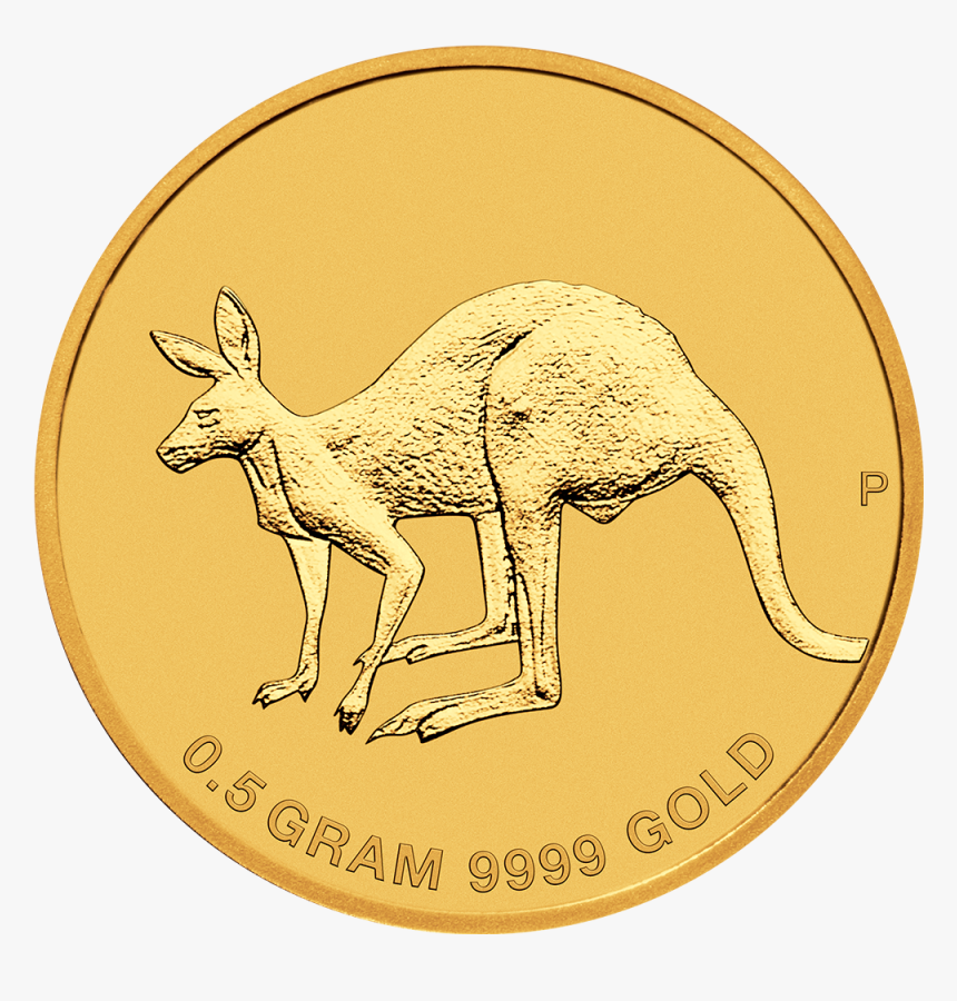 Iaus021902 2 - Mini Roo 2019, HD Png Download