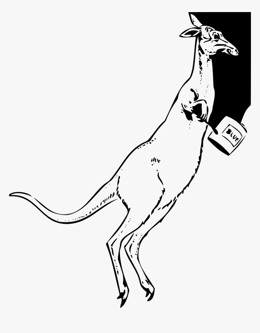 Cartoon Kangaroo, HD Png Download