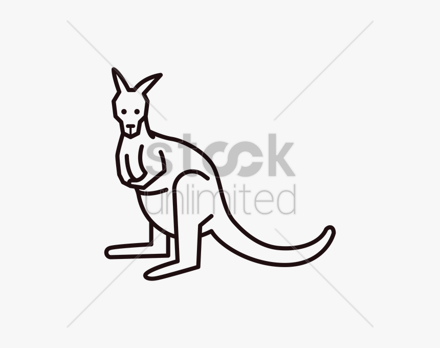 Transparent Kangaroo Clip Art - Full Sketch Of Kangroo, HD Png Download