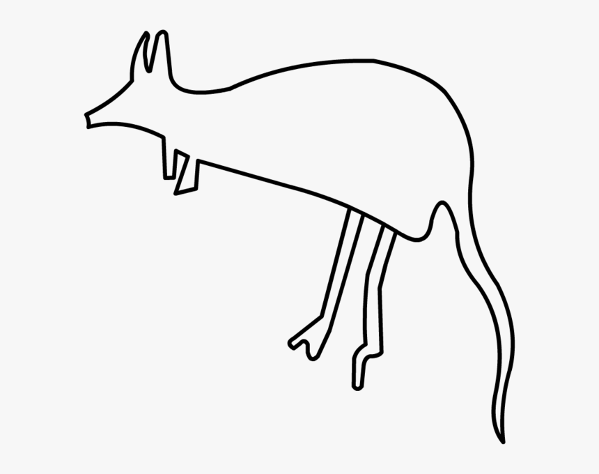 Kangaroo - Kangaroo Drawn, HD Png Download
