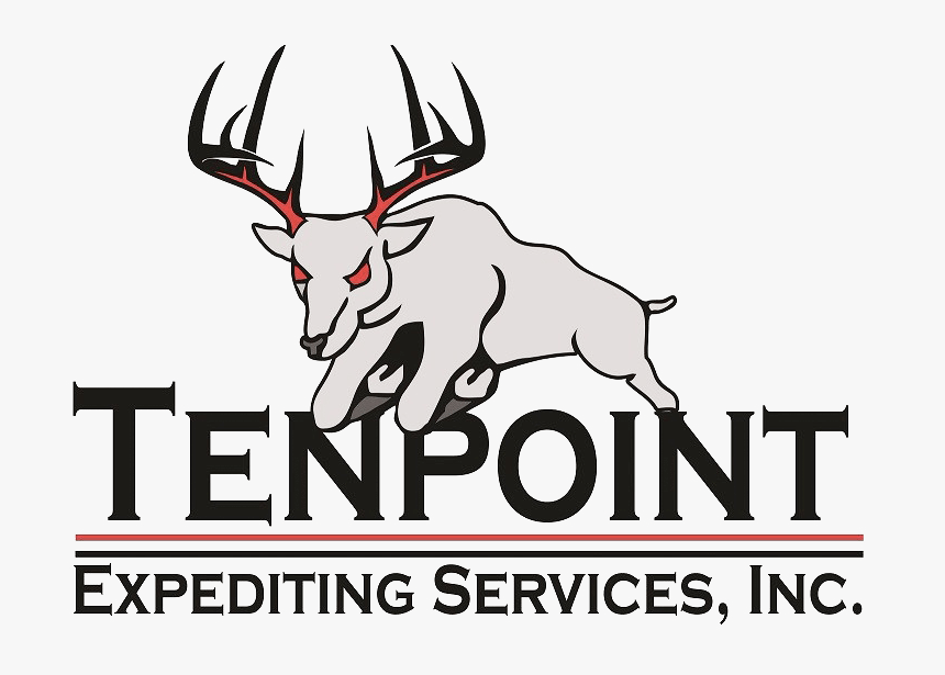 146532763827854 - Ten Point Logo, HD Png Download