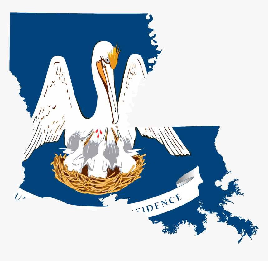 Flag Map Of Louisiana Accurate - Pelican Feeding Young Blood, HD Png Download