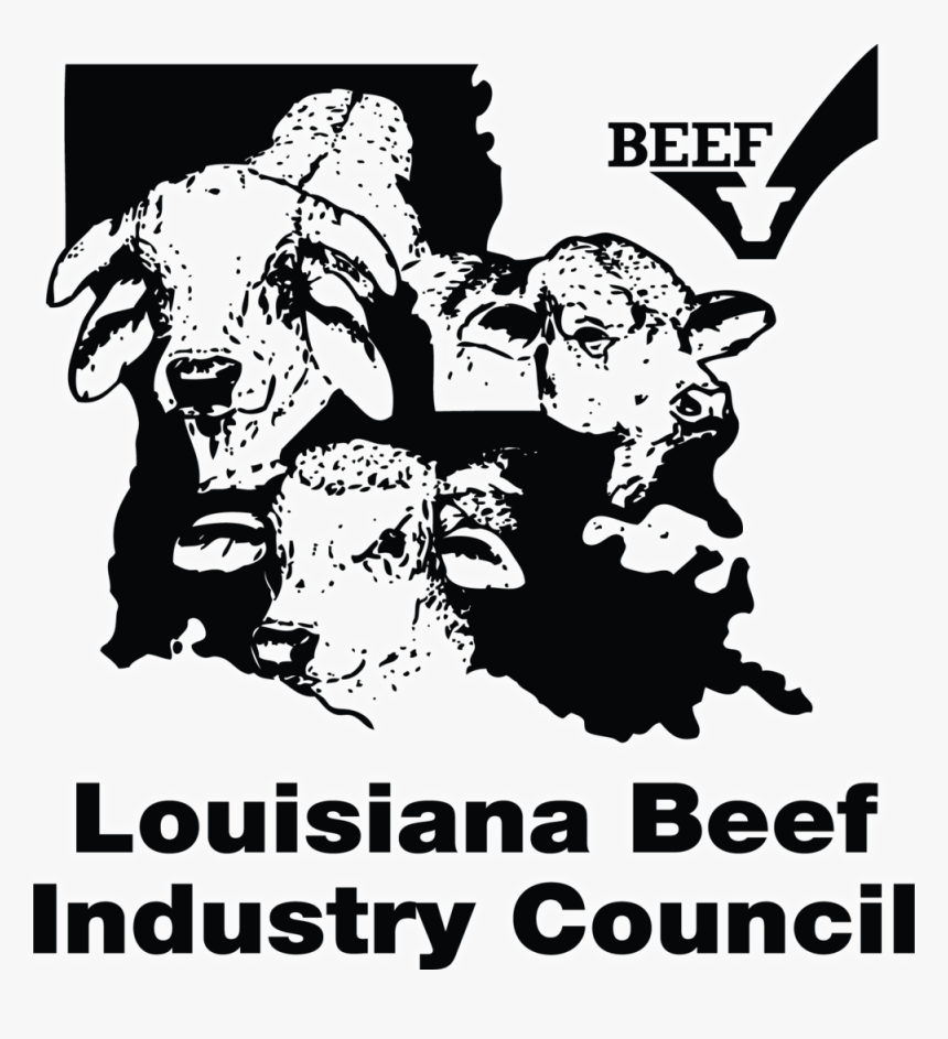 Beef Copy - Olustvere Teenindus Ja Maamajanduskool, HD Png Download