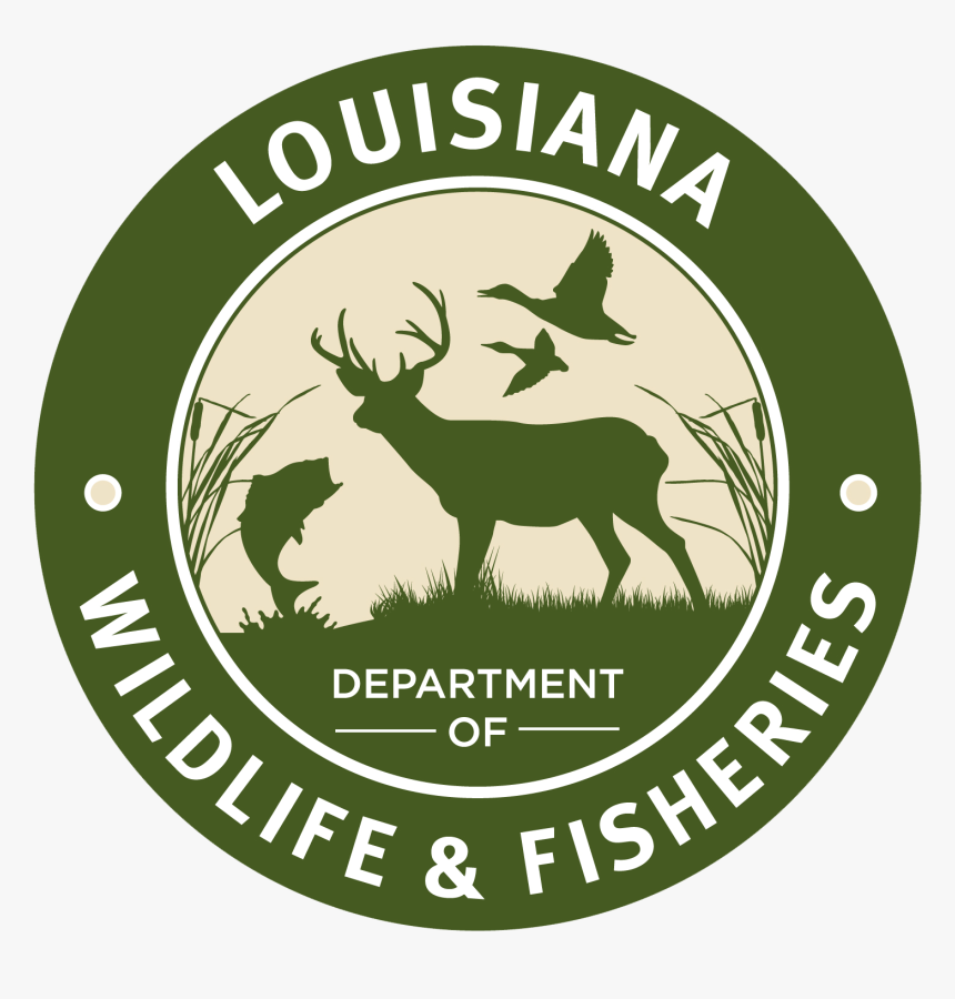 Louisiana Wildlife And Fisheries Logo, HD Png Download