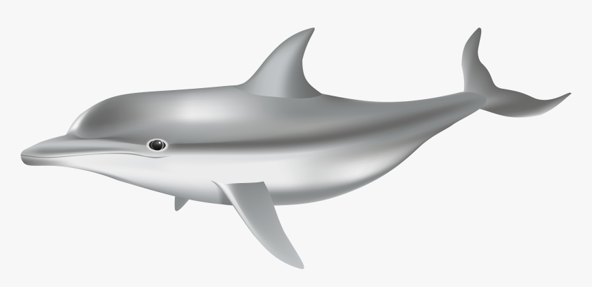 Portable Network Graphics, HD Png Download