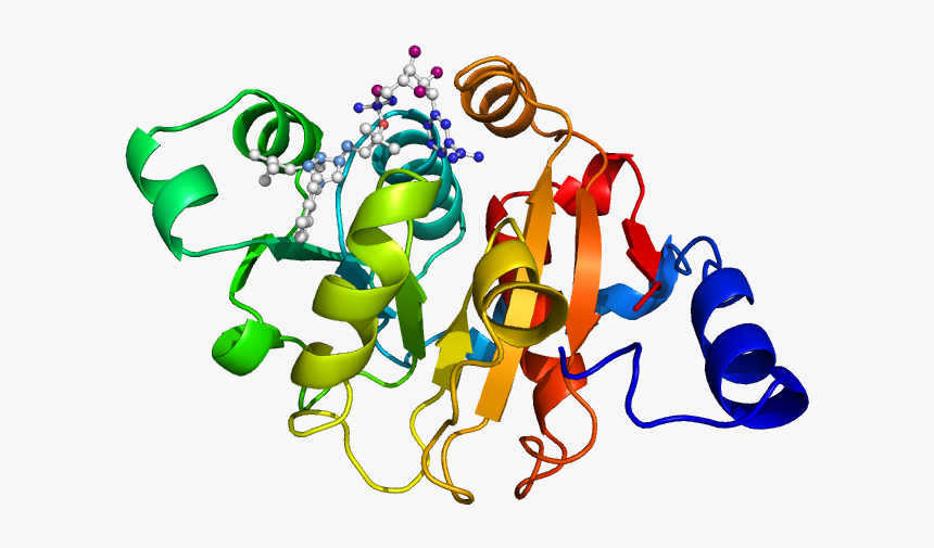 Eckari P-domain Nadph - Экспрессия Генов, HD Png Download