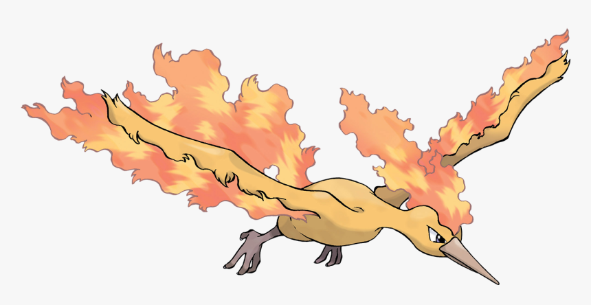Pokemon Moltres - Moltres Pokemon, HD Png Download