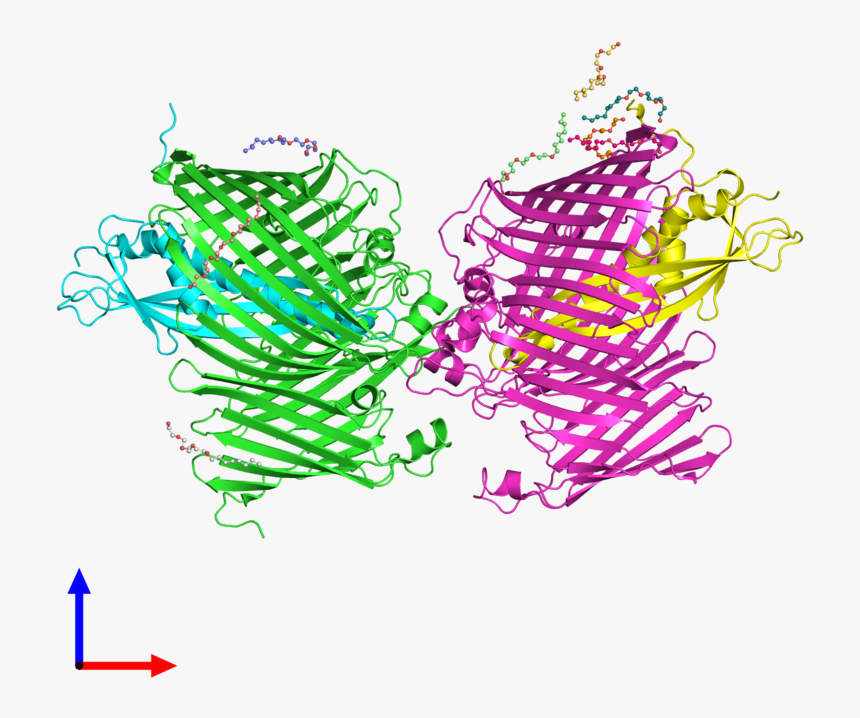 Illustration, HD Png Download