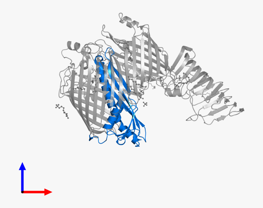 Sketch, HD Png Download