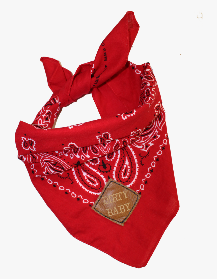 Best Friend Pet Bandanas And Baby Pets - Bag, HD Png Download