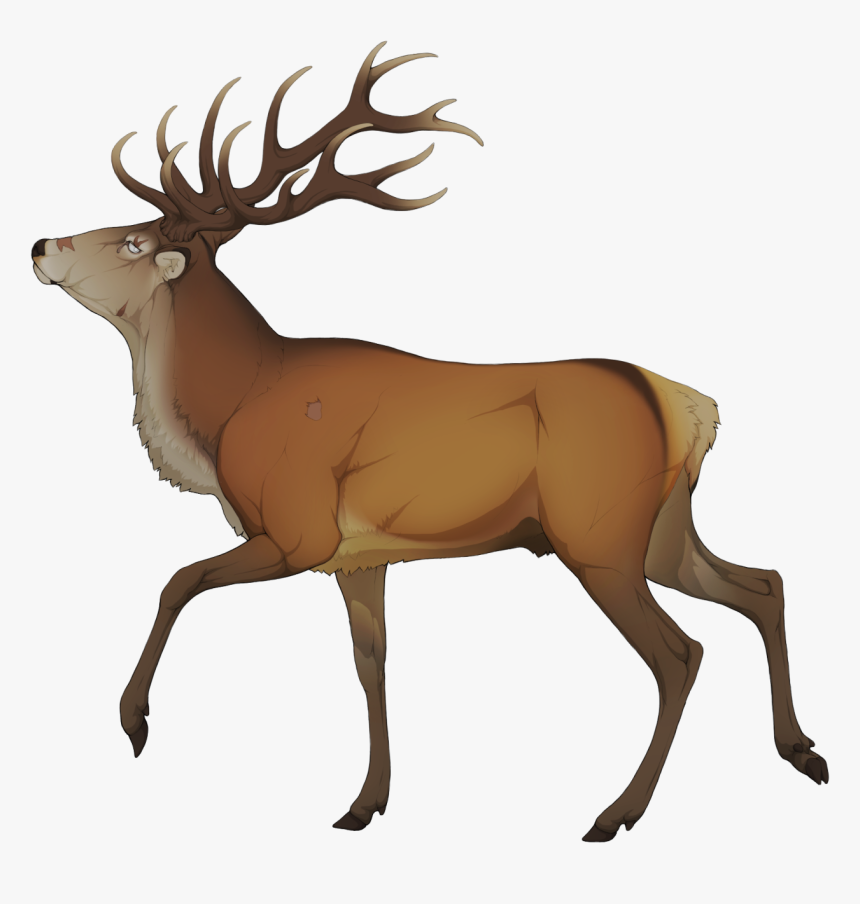 Elk Clipart Golden Deer Elk Clipart, HD Png Download , Transparent