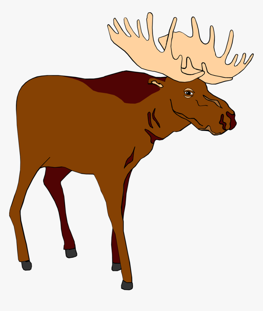 Image Of Moose Free - Moose Clipart Png, Transparent Png