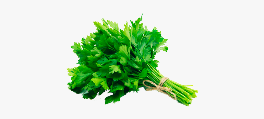 Salsa Png, Transparent Png