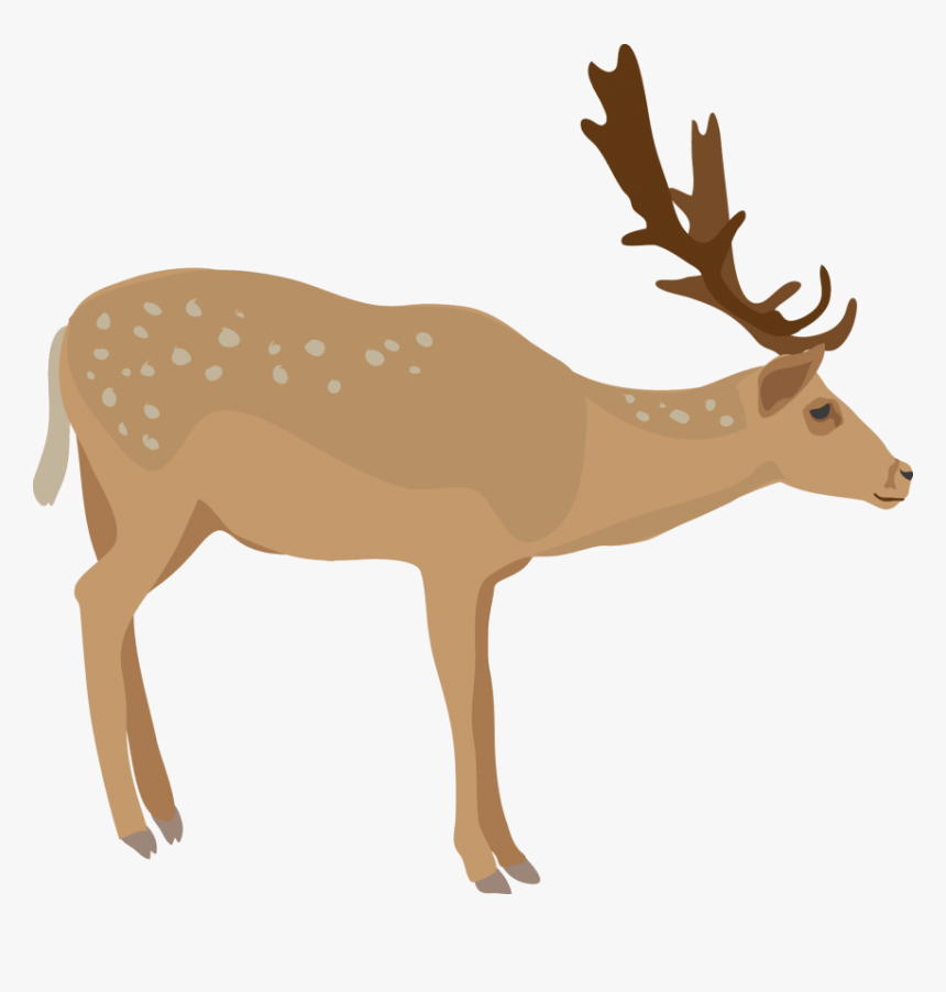 Download Elk Png Images Background - Elk, Transparent Png