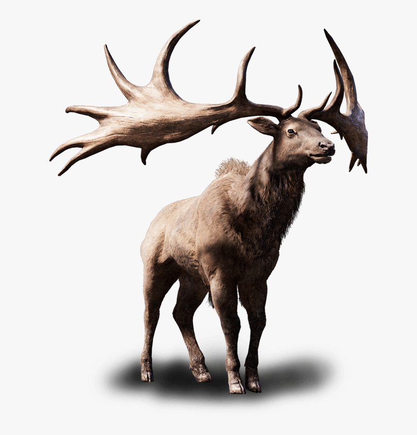 Elk Png Free Background - Elk, Transparent Png