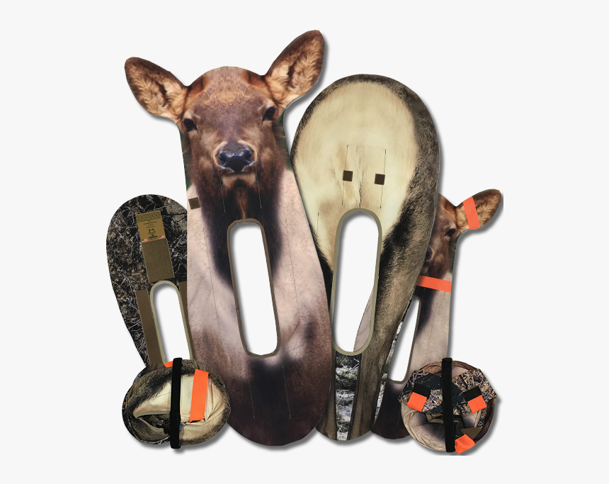 Deer, HD Png Download