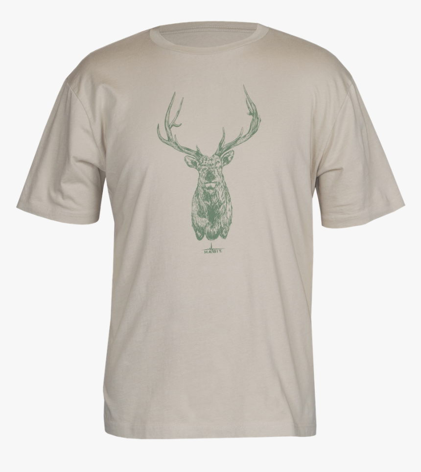 Reindeer, HD Png Download