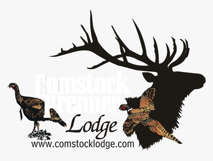 Logo - Turkey, HD Png Download