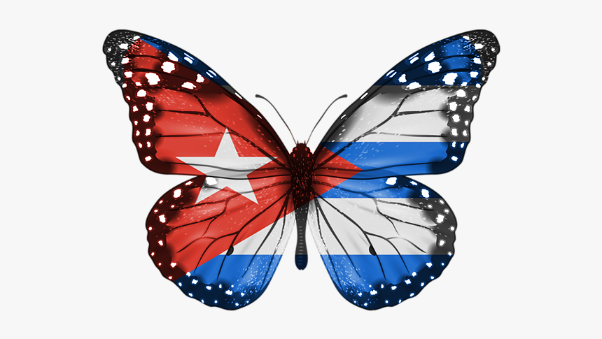Butterfly Isolated, HD Png Download