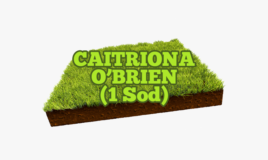Caitriona O Brien - Opening Soon Banner, HD Png Download