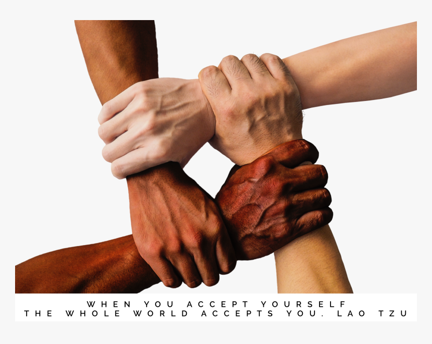 Cohesion En Los Grupos, HD Png Download