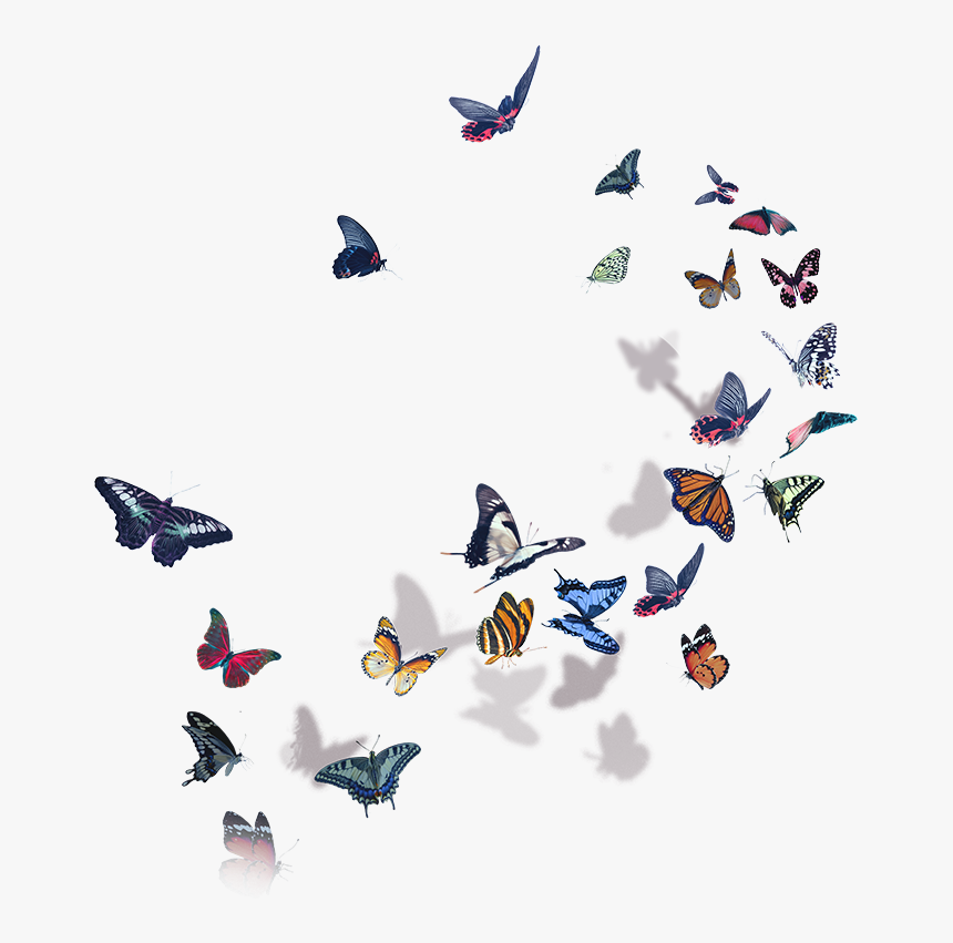 Halsey World Tour 2018 , Png Download - Halsey Hopeless Fountain Kingdom Png, Transparent Png