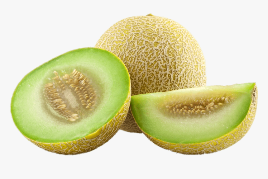 Honeydew Melons - Honeydew Transparent Background, HD Png Download