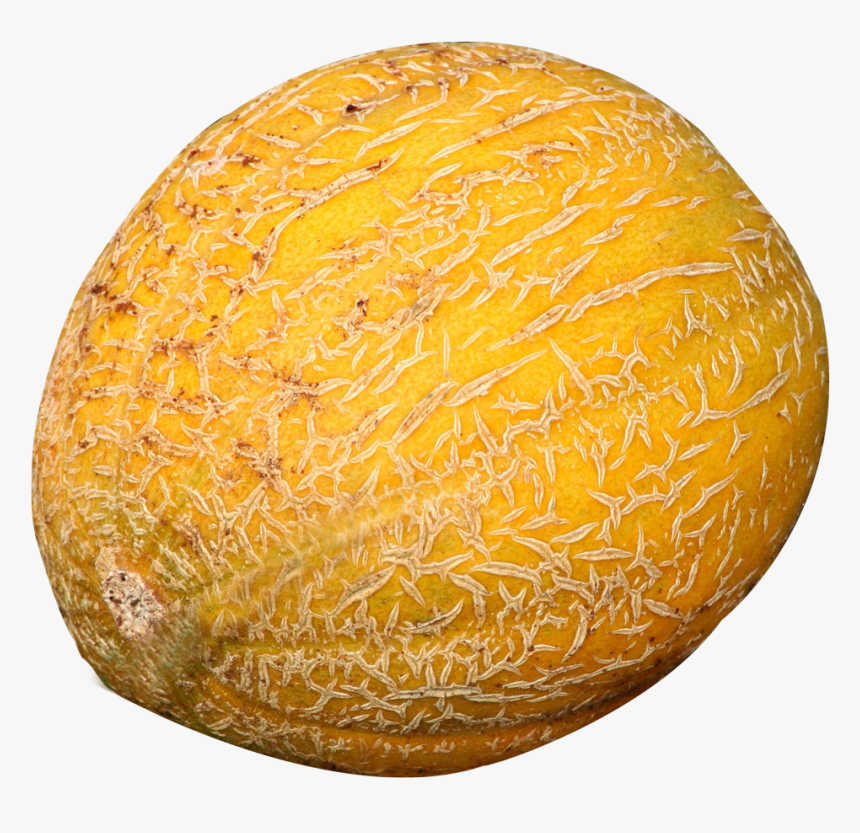 Cantaloupe Melon Png Image - Cantaloupe, Transparent Png