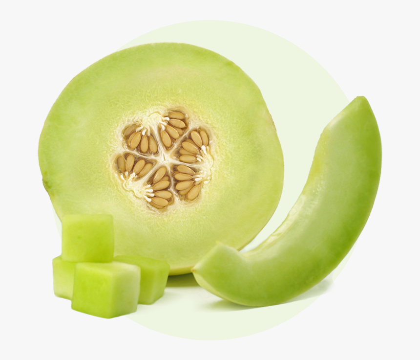 Transparent Honeydew Png - Honeydew Png, Png Download