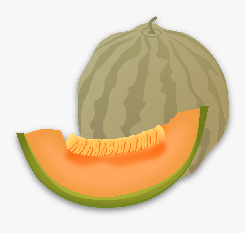 Melon Clipart, HD Png Download