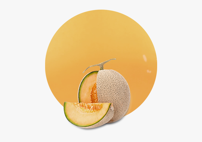 Honeydew, HD Png Download