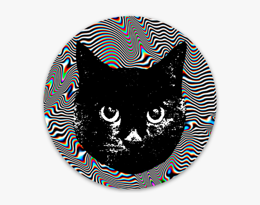 Darla Trippy - Cats Color Pink, HD Png Download