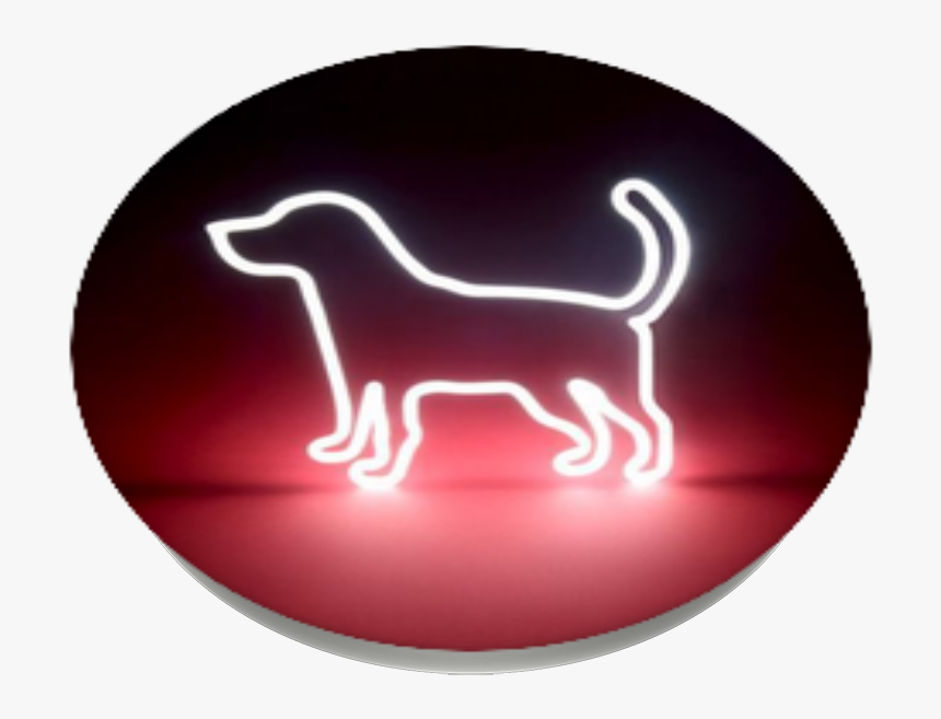 Transparent Mustang Horse Clipart - Companion Dog, HD Png Download