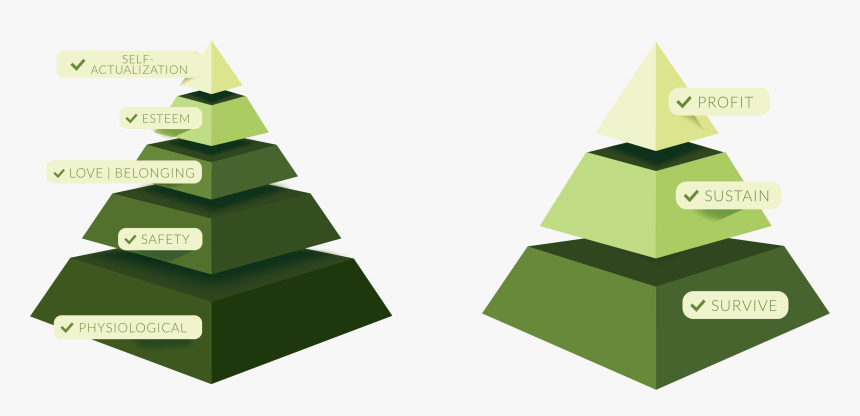 Maslows And Business Goals Pyramids - Christmas Tree, HD Png Download