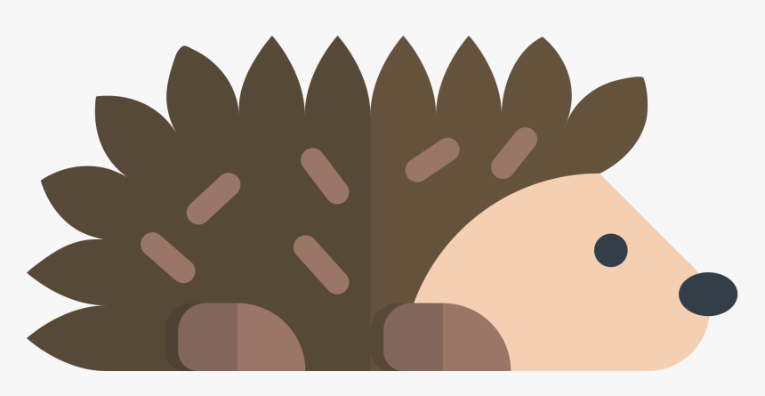Hedgehog Png, Transparent Png