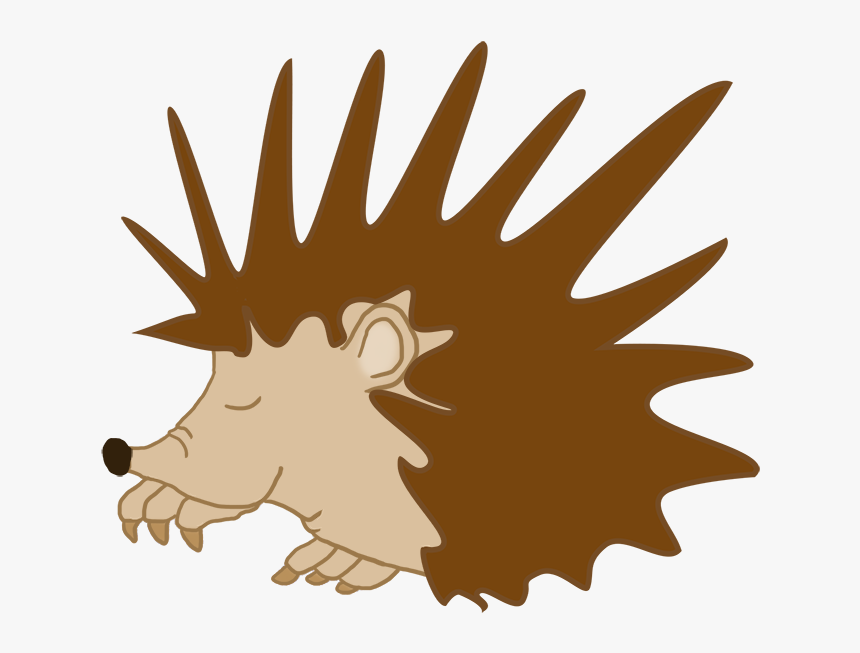 Sleeping Hedgehog Clipart - Illustration, HD Png Download