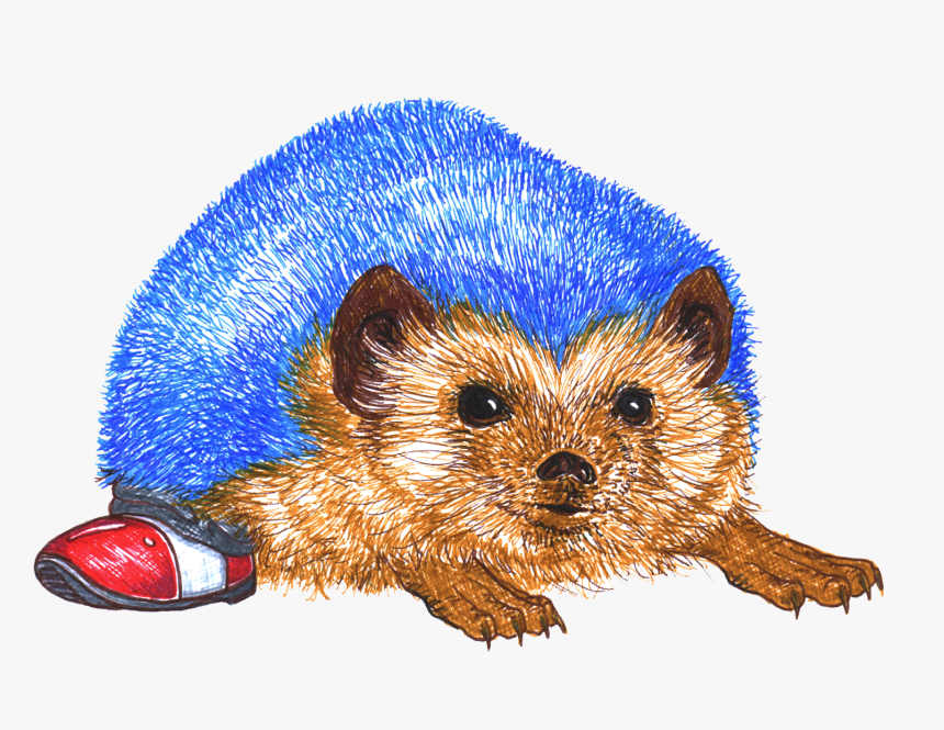Hedgehog Png Image File - Mustelidae, Transparent Png