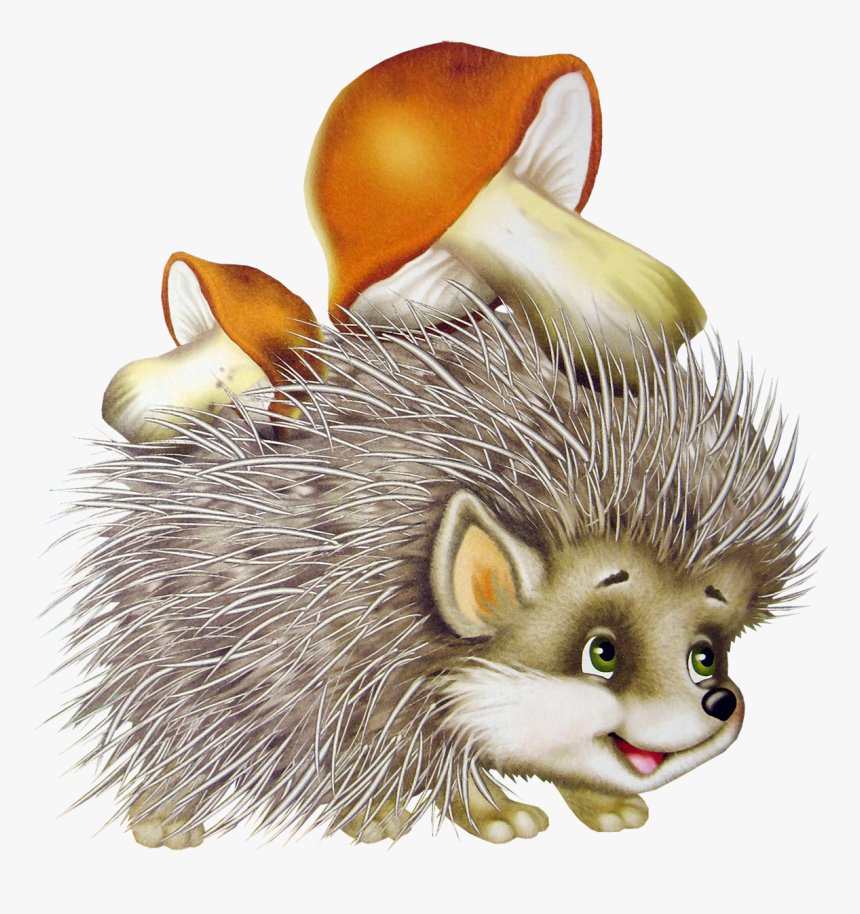 Hedgehog Png - Ежик Png, Transparent Png