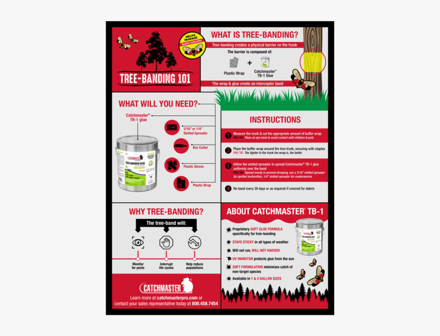 Flyer, HD Png Download