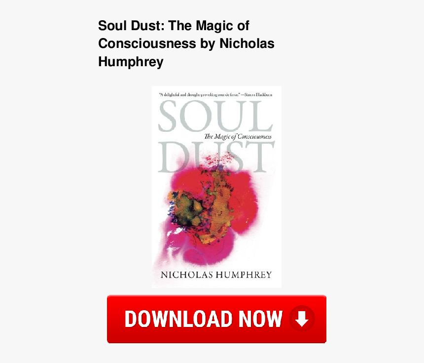 Flyer, HD Png Download