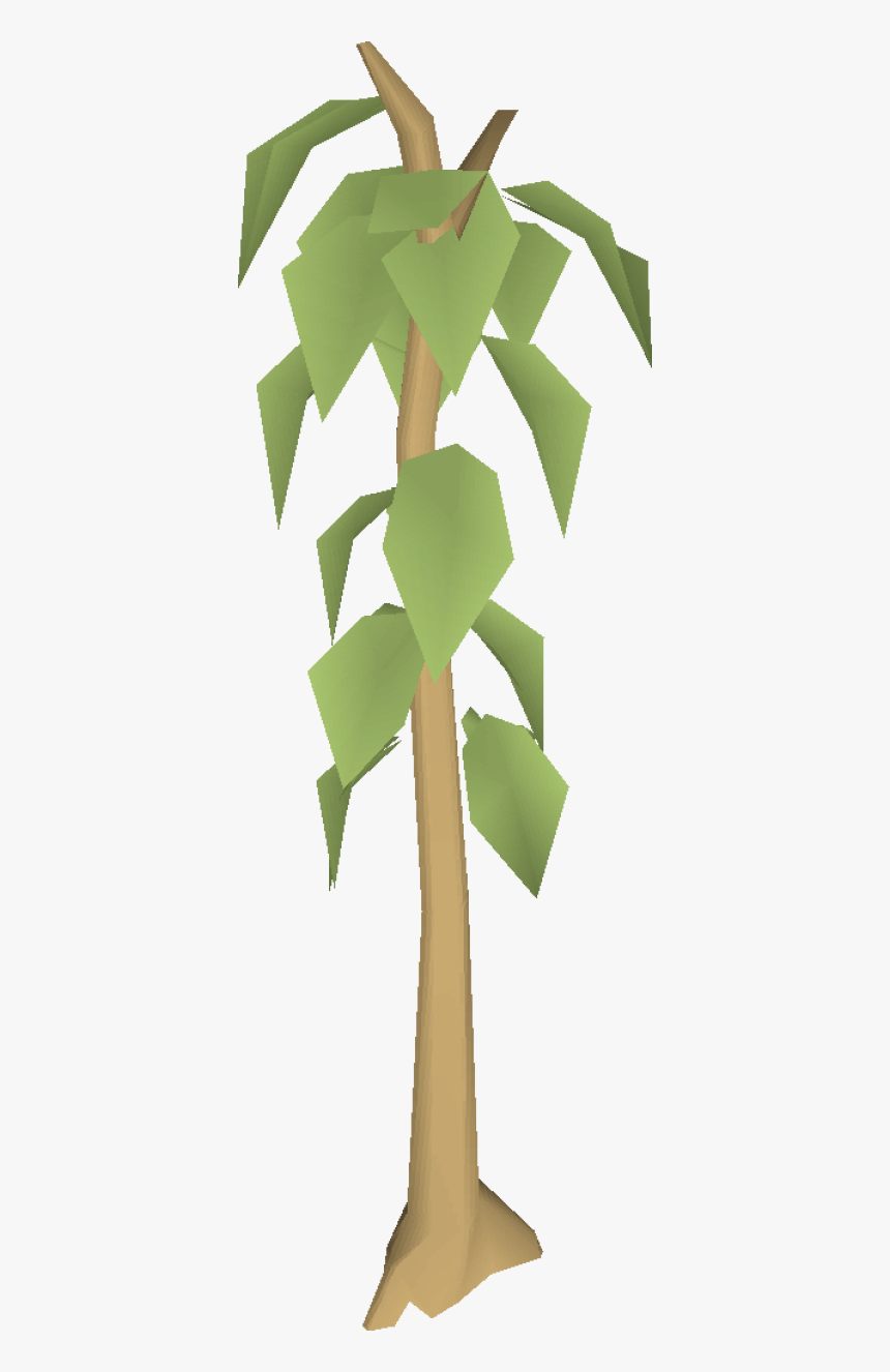 Teak Tree Clipart, HD Png Download