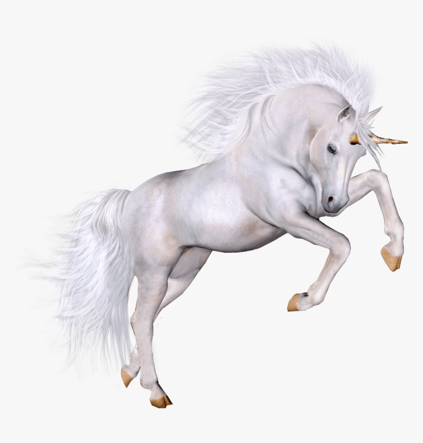 White Unicorn Transparent Background, HD Png Download