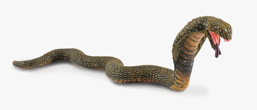 King Cobra Png Image - King Cobra Collecta, Transparent Png