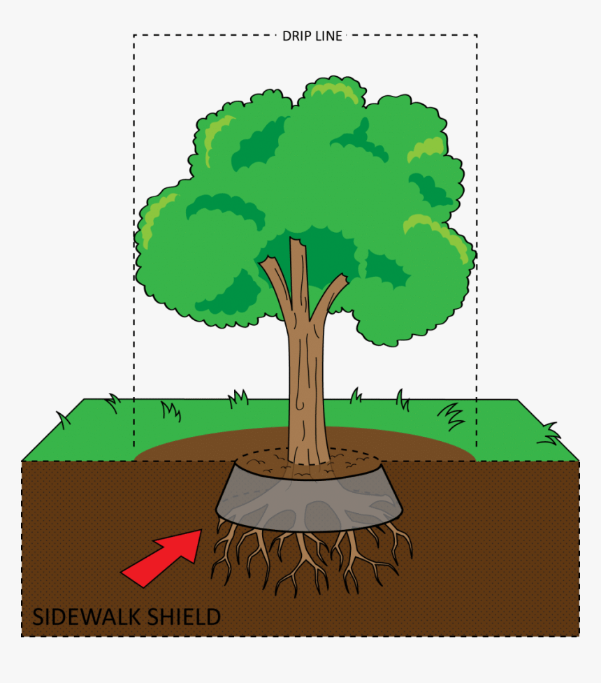 Illustration, HD Png Download