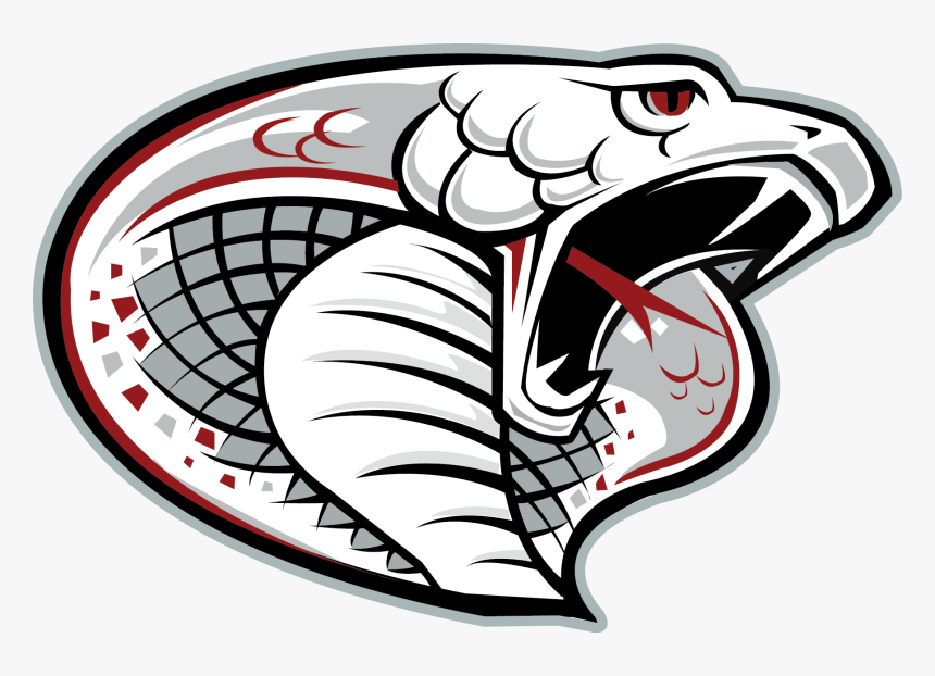 Cobra Png - Park Vista High School Cobra, Transparent Png