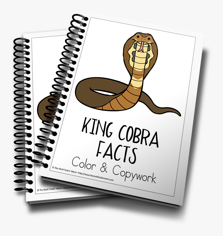 Transparent King Cobra Png - 3d Life Cycle Of Butterfly, Png Download